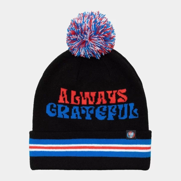 686 Men's Grateful Dead Knit Beanie - Grateful Dead Steelie