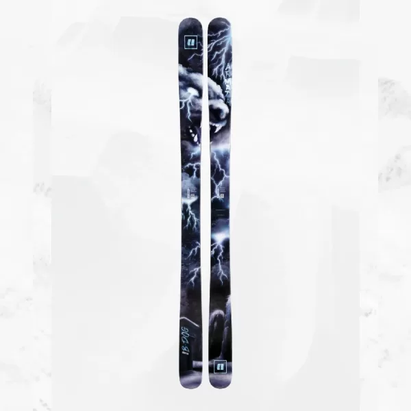 Armada Skis Men's BDOG 94 + N STRIVE 12 GW Bindings
