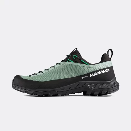 Mammut Men's Alnasca IV Low GTX Shoes - Deep Silver Sage / Pinea